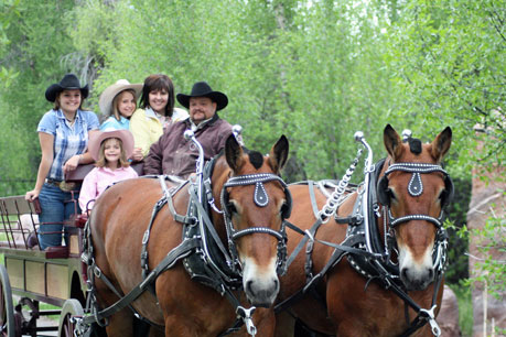 Castagno Outfitters Carriages